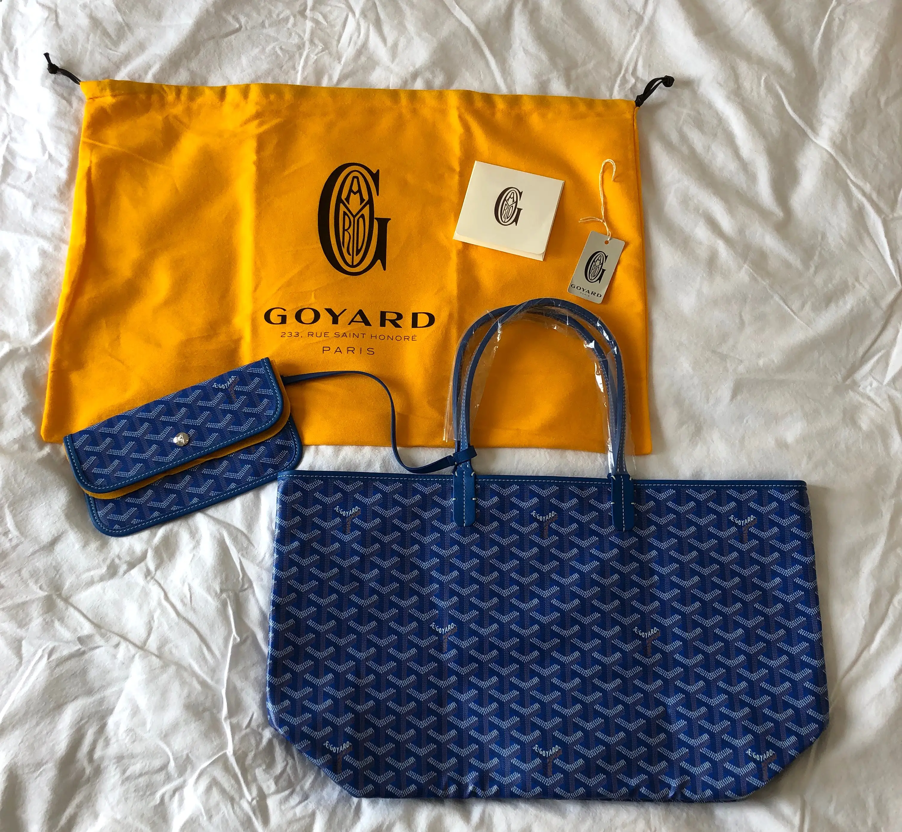 Goyard St. Louis Sky Blue PM (NWT)