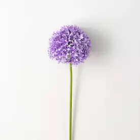 Lush Purple Allium Stem