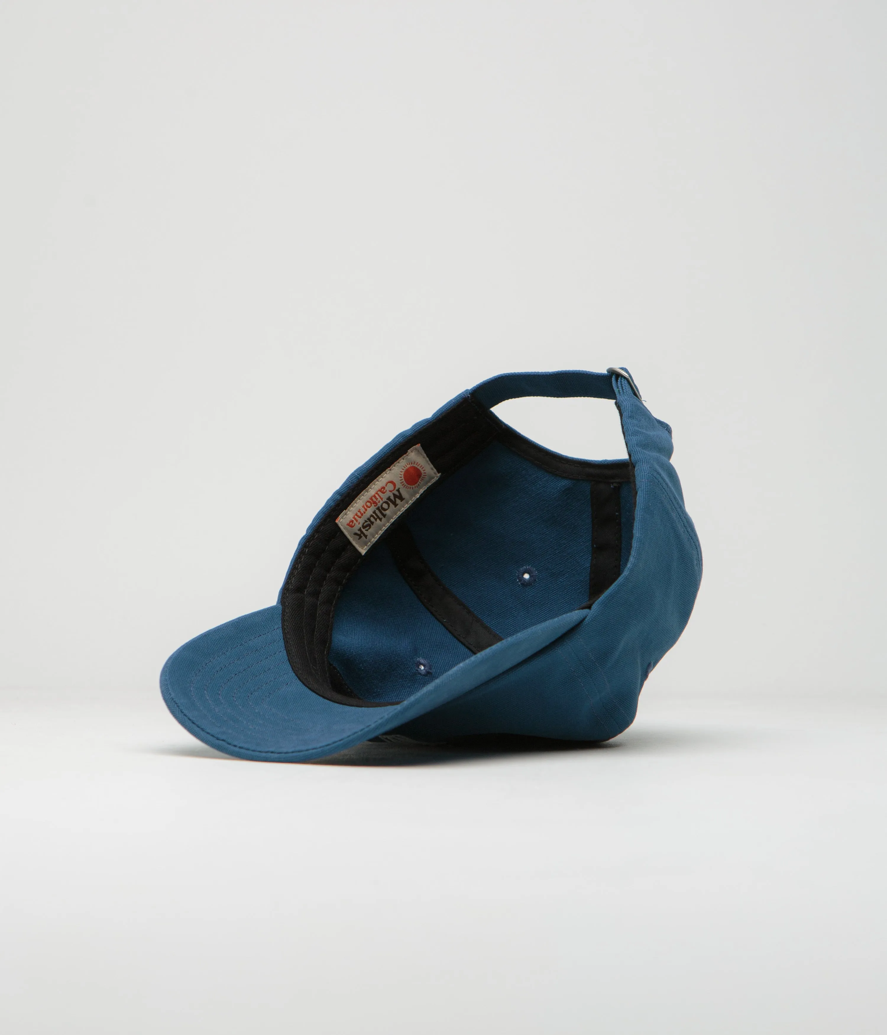 Mollusk Mushroom Dad Cap - Blue