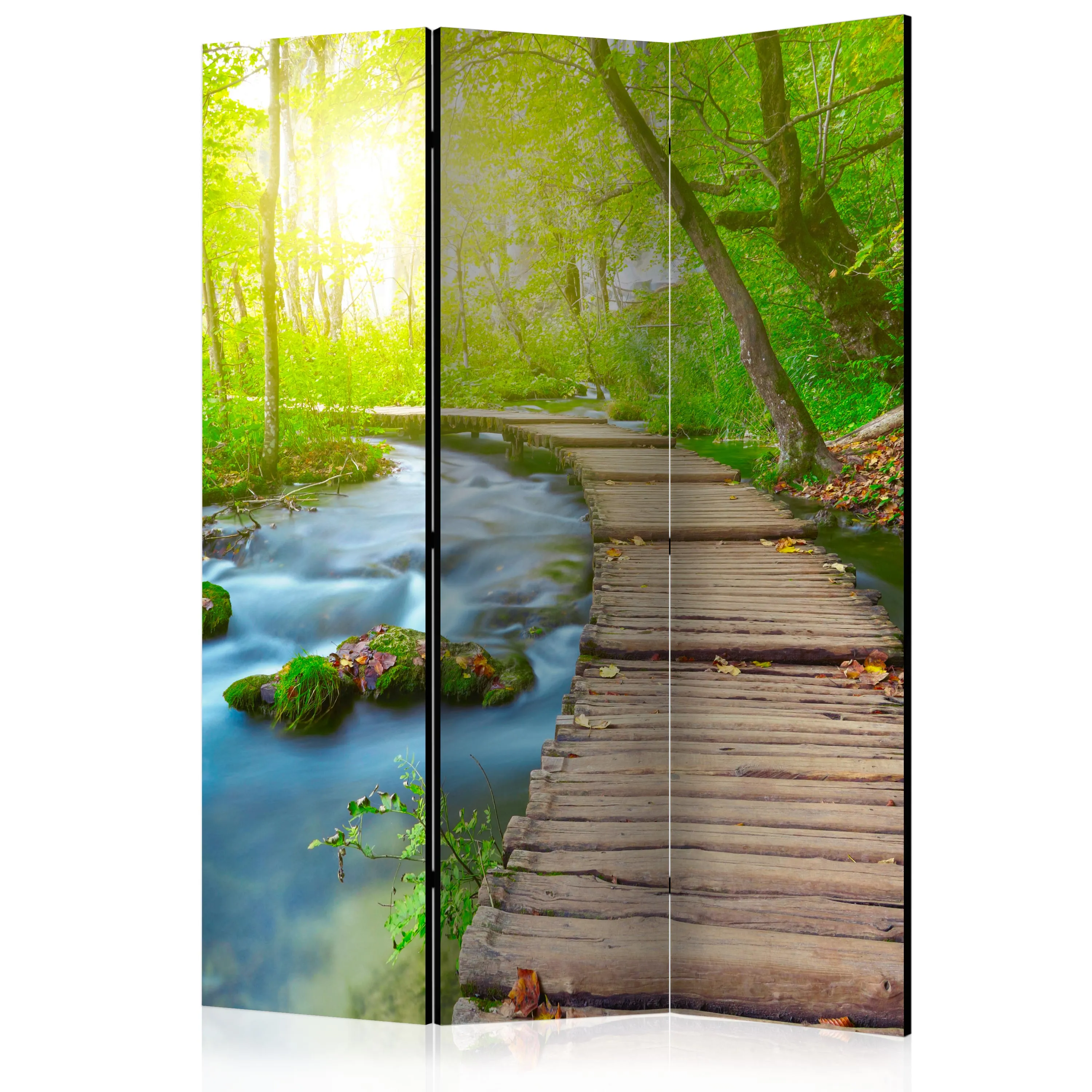 Paravento Green forest [Room Dividers]