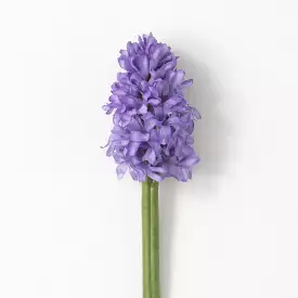 Pretty Purple Hyacinth Spray