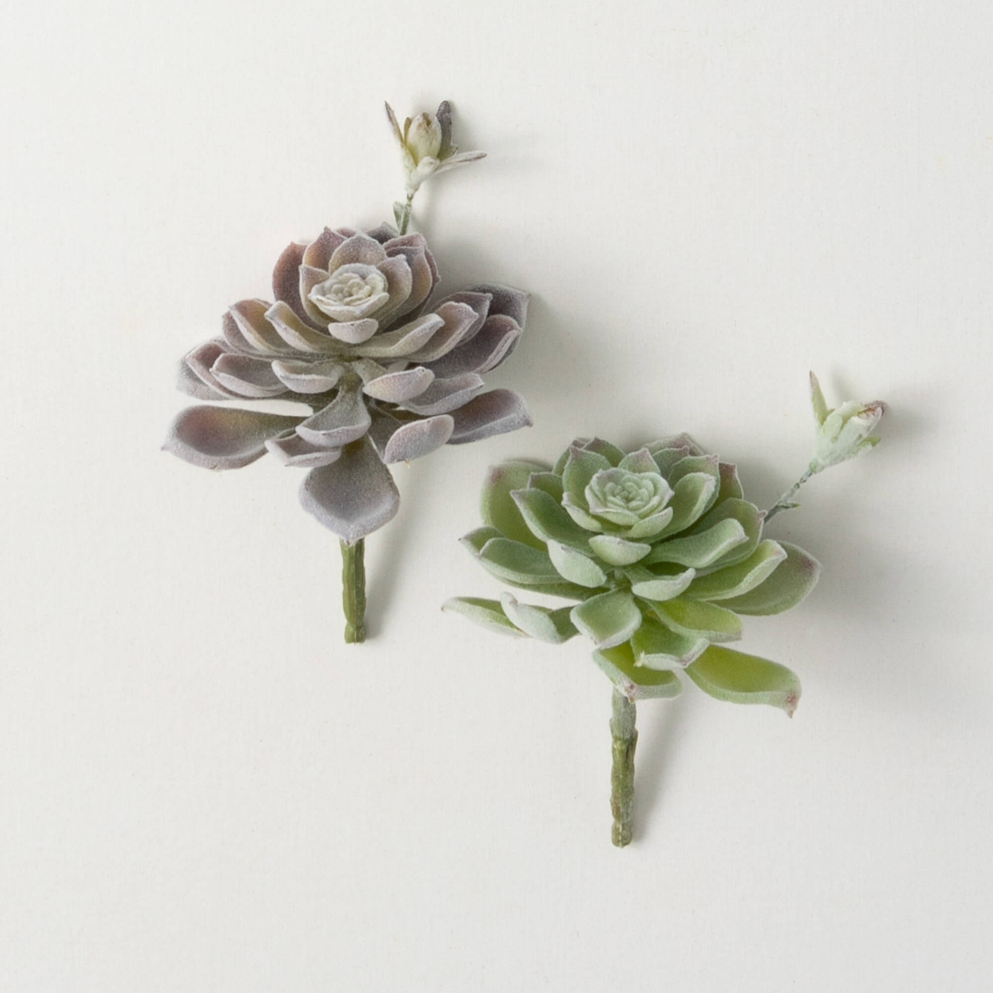 Purple & Green Succulent Picks