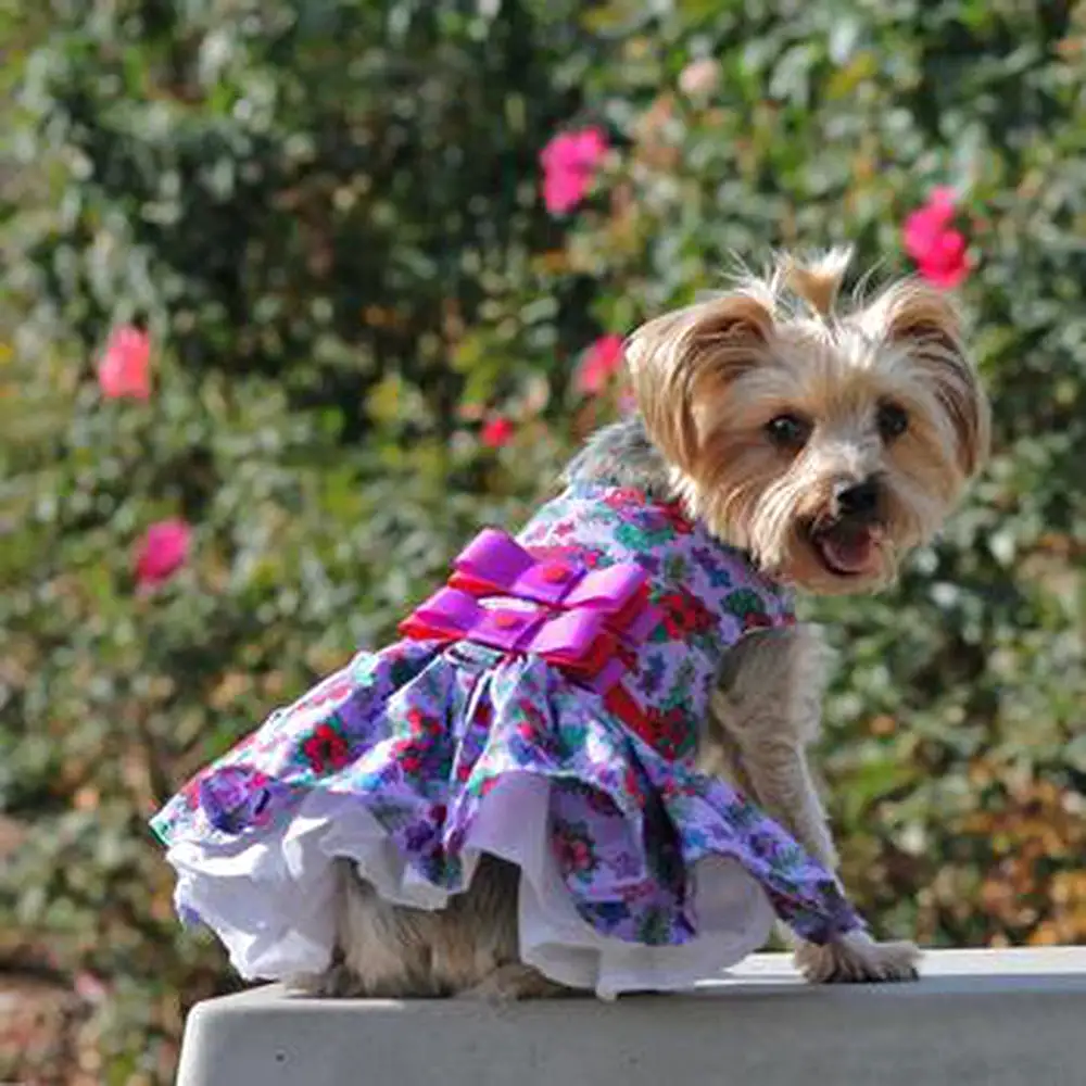 Purple and Red Floral Dog Harness Dress