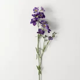 Purple Larkspur Spray