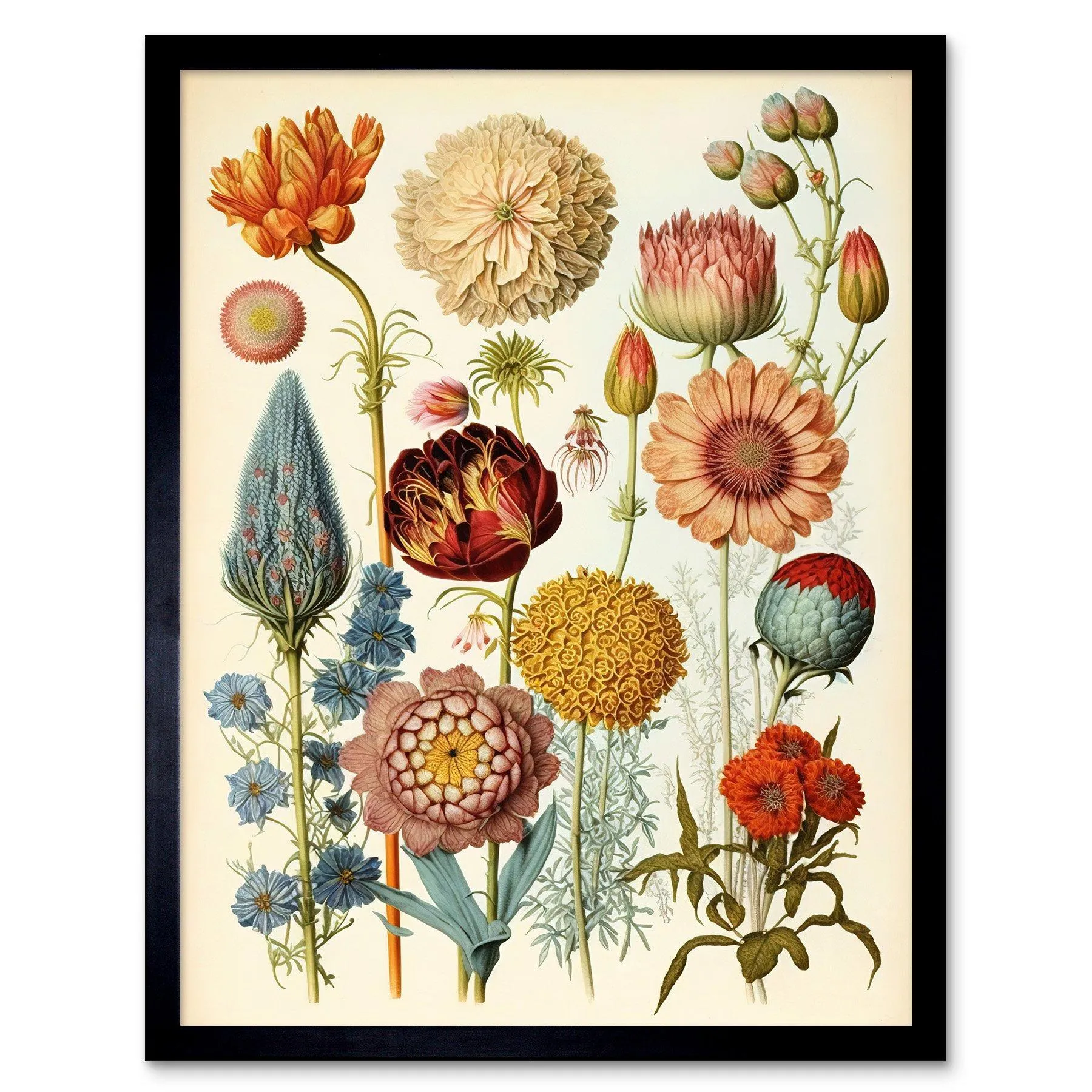 Wall Art & Pictures | Wall Art Print Vintage Botanical Ernst Haeckel Style Plant Study Modern Watercolour Painting Art Frame